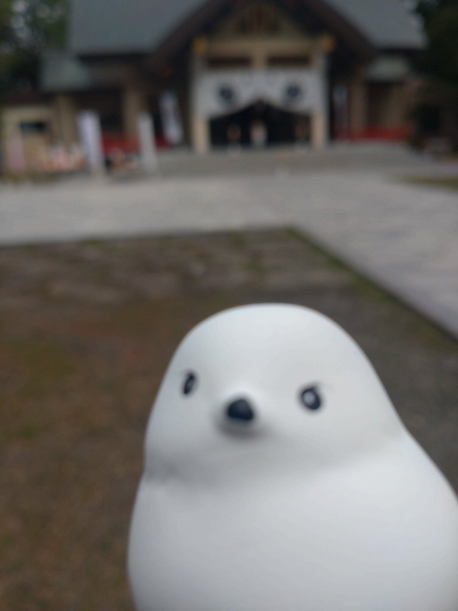 a_dn3825's tweet photo. 今年はドリに会えないと思ってた中での池田ライブ！
幸せ…。
お礼参りに帯広神社へ。
#ドリカムの日 https://t.co/uQqMTNGR6B