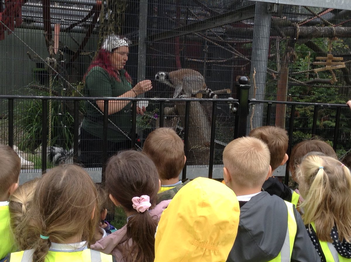 BPSHull's tweet photo. 1JP had an fantastic time on their trip to East Park. We met some amazing animals and used our maps to navigate through the park.#BPSGeography #BPSScience https://t.co/sG1hFIFf7y