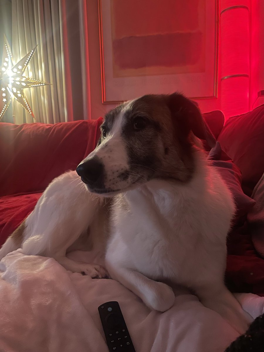 Rebecca Van Homan FCCT tweet media