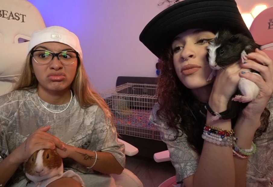 alo y koki estan celosos