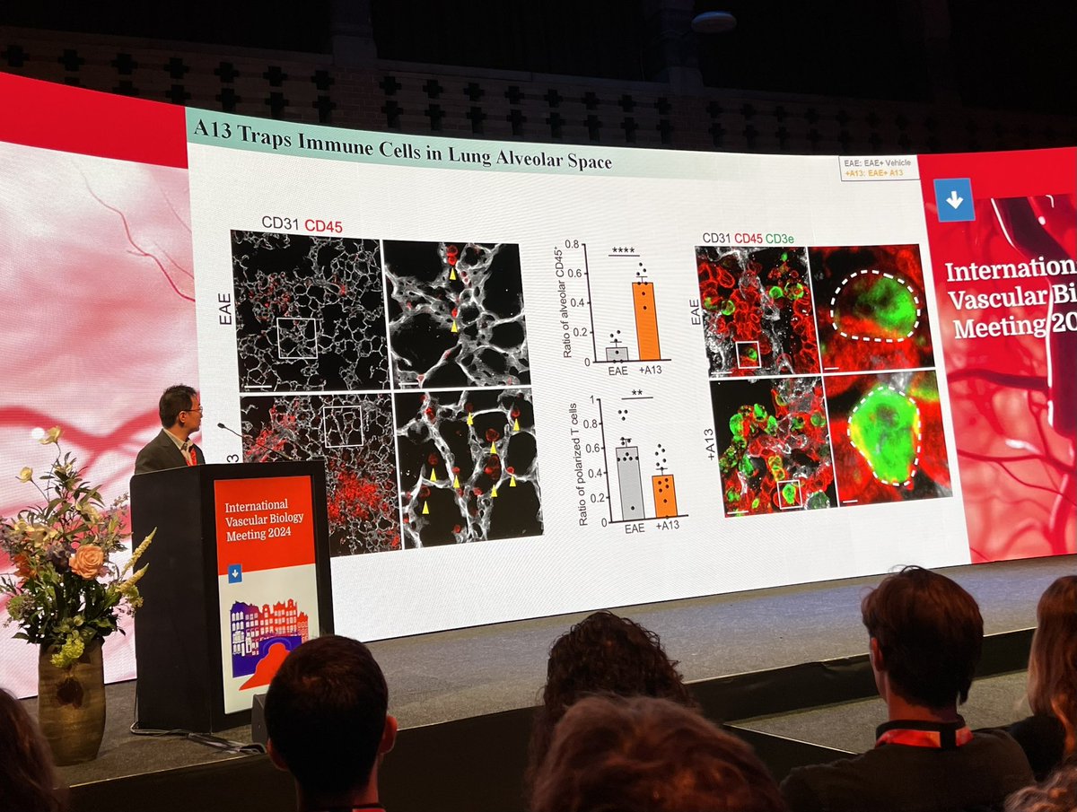 Gabi Bixel tweet media