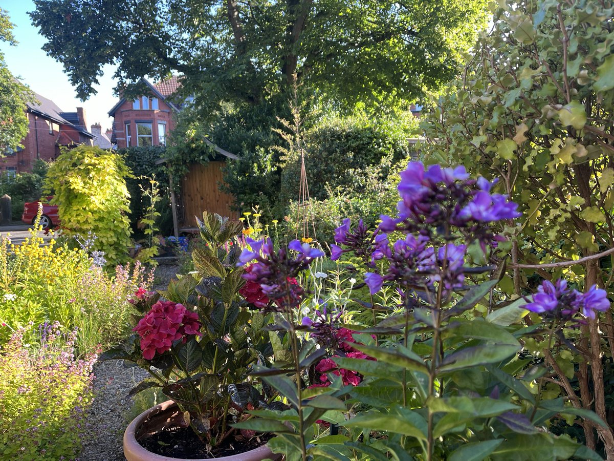 jane davis tweet media