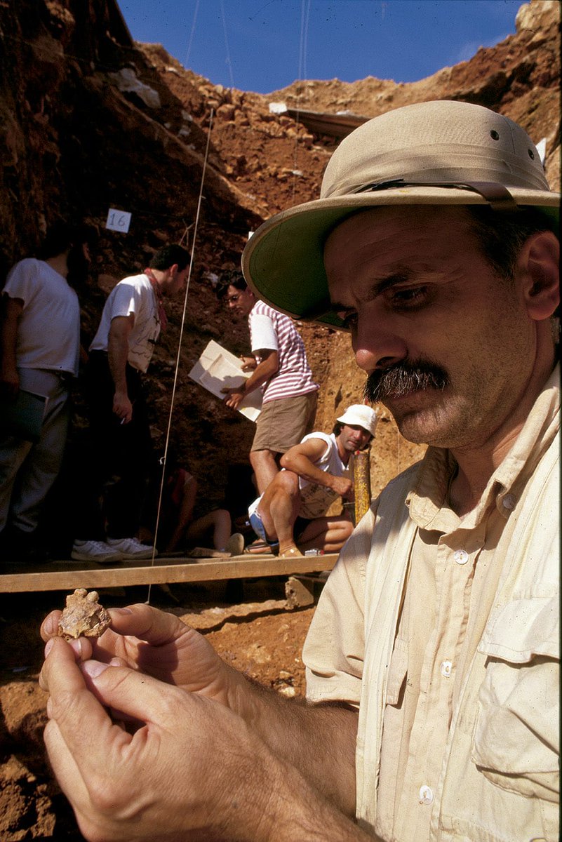 Hoy se cumple 30 años del descubrimiento en Atapuerca de una nueva espècie humana, Homo antecessor. 

Foto: Javier Trueba - Madrid Scientific Films