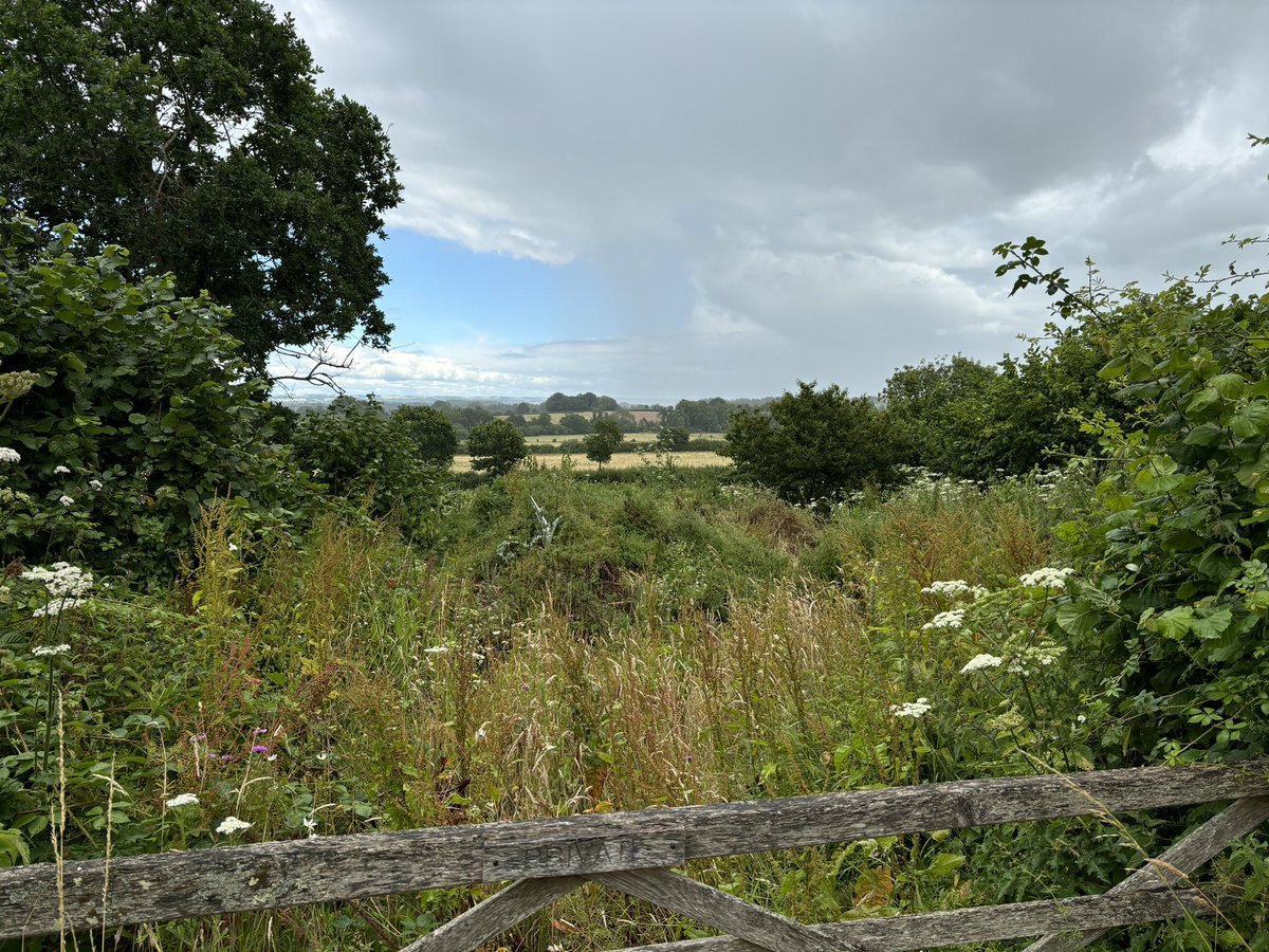 Back from lovely weekend in Kent to celebrate As birthday then a surprise lunch for her with our nearest and dearest. Happy birthday darling xx