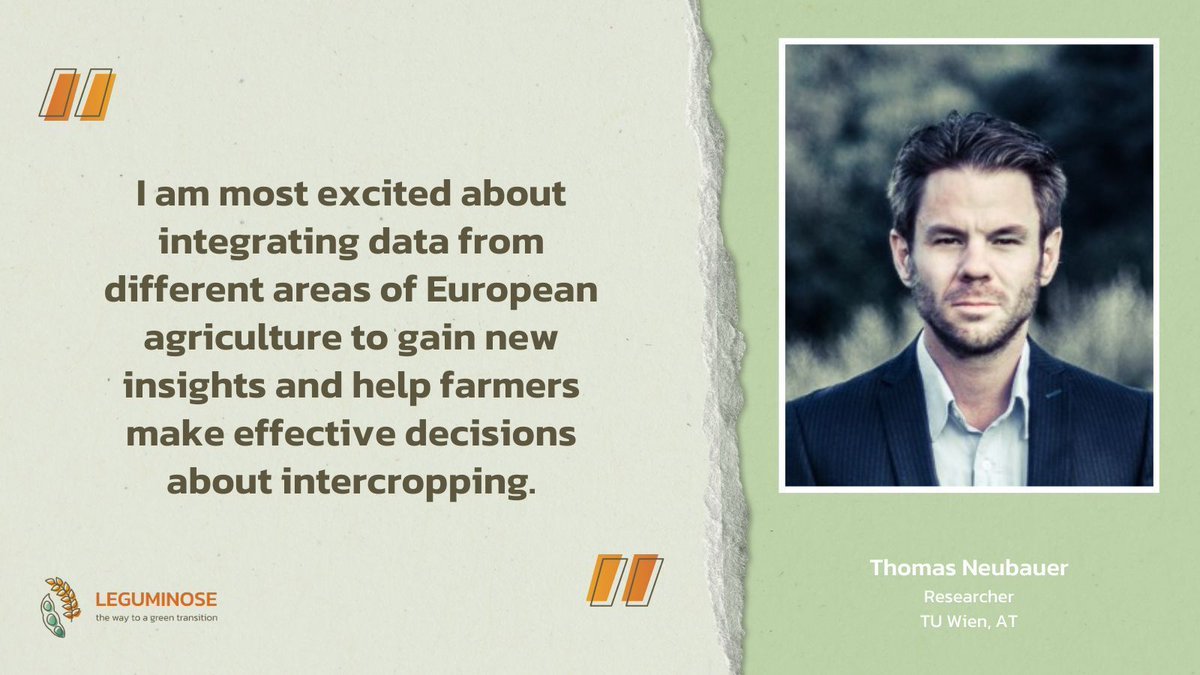 In intercropping, the perfect combination of cereal and legume crops depends on the specific pedo-climatic conditions.

#TeamLEGUMINOSE member Thomas Neubauer, researcher at <a href="/tu_wien/">TU Wien</a> (AT), is interested in drawing conclusions from the data collected all over Europe.