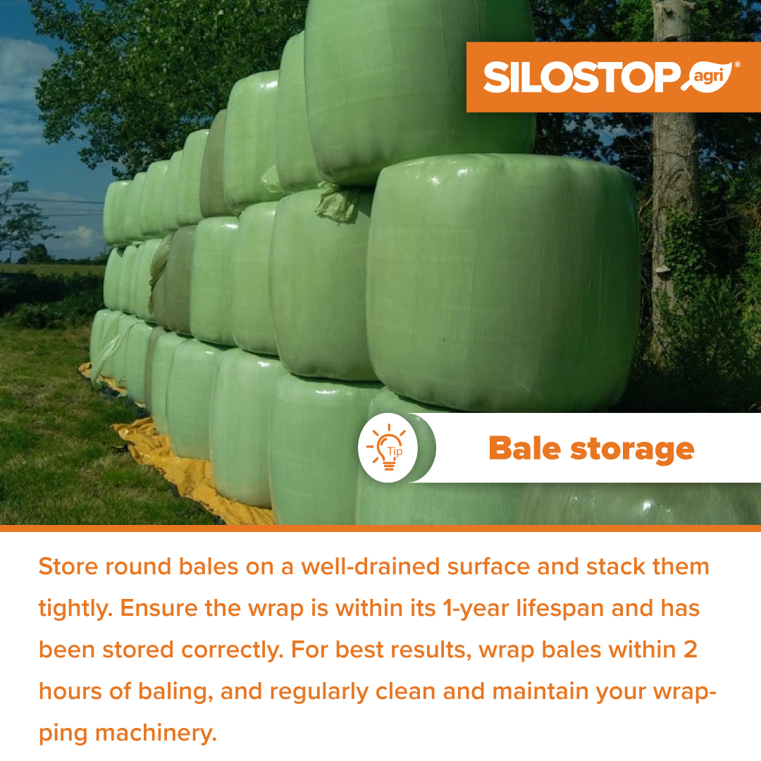 Ensure top-quality bales 💪 Store properly, use fresh wrap, and maintain equipment for the best preservation!

 #BaleStorage #FarmTips #FarmLife #DairyFarming