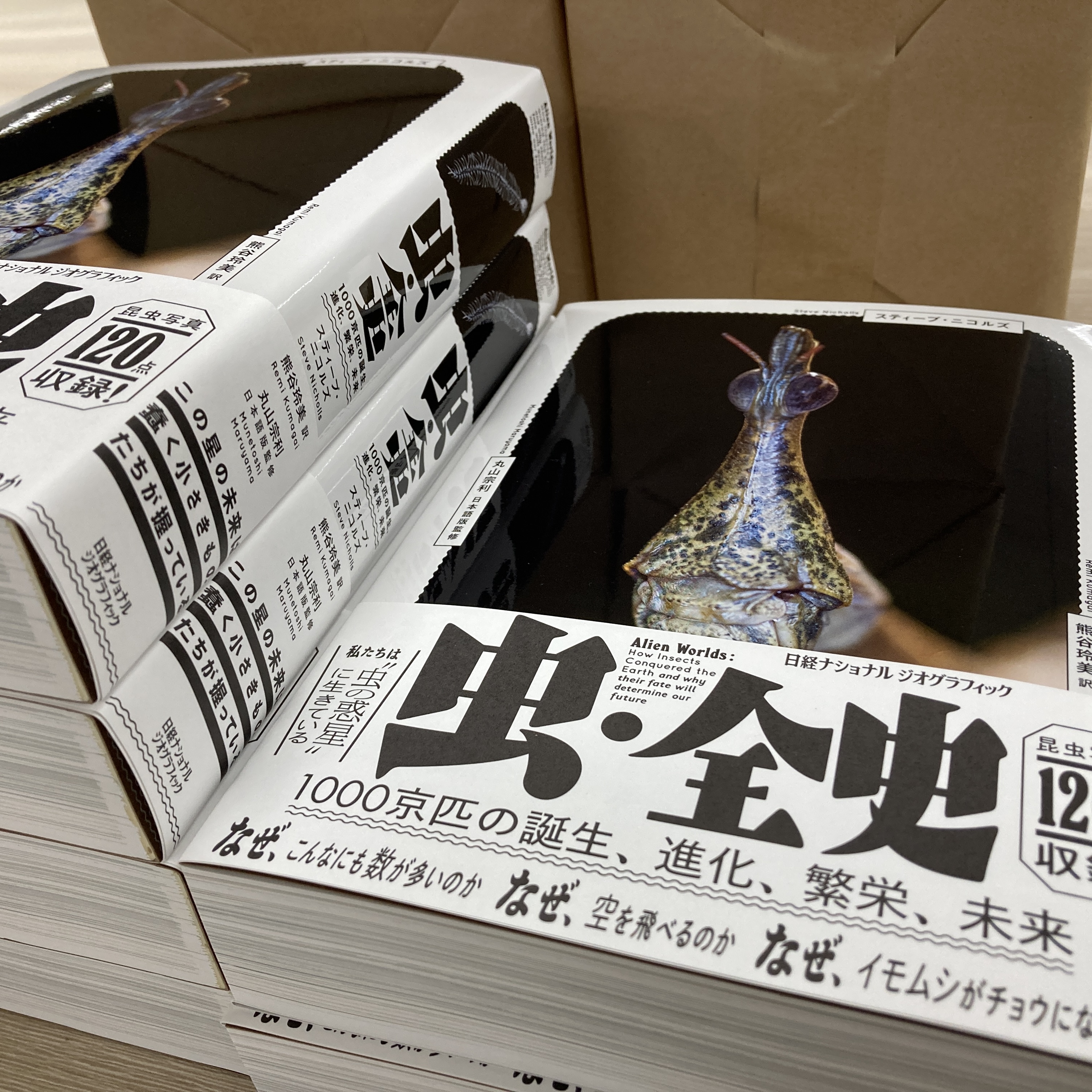 大量 ナショナルジオグラフィック 傷あり 2003年~2005年 自然科学