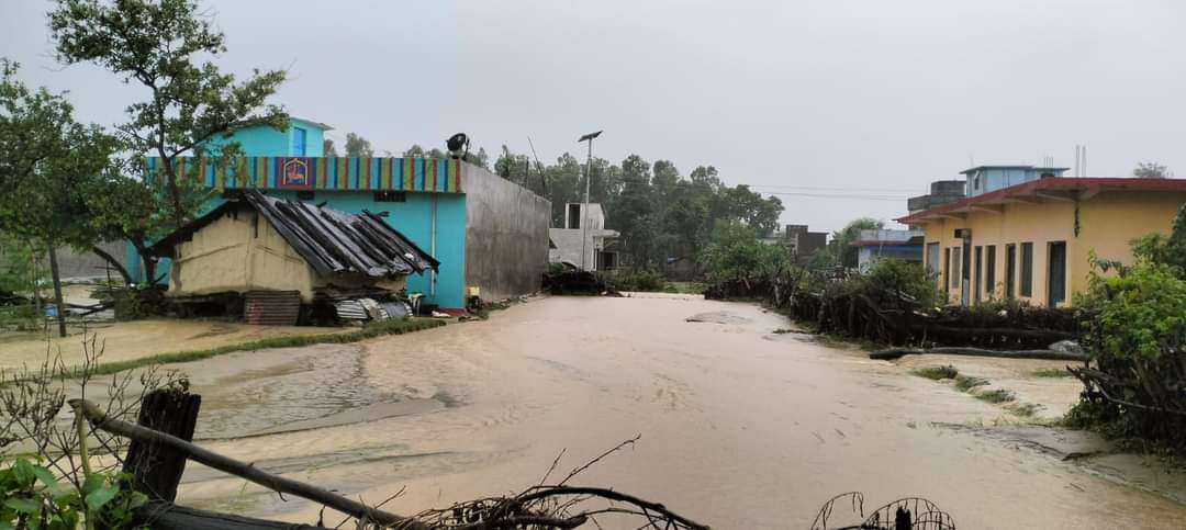 Beas Banerjee (@banerjee_beas) on Twitter photo The heavy rainfall in Kanchanpur, Western Nepal, with over 700 mm in the past 48 hours, has caused rivers to exceed danger levels,leading to significant flooding in the areas around Mahakali river
<a href="/UoW_SERG/">UoW Sustainable Environments Research Group</a> The heavy rainfall in Kanchanpur, Western Nepal, with over 700 mm in the past 48 hours, has caused rivers to exceed danger levels,leading to significant flooding in the areas around Mahakali river
<a href="/UoW_SERG/">UoW Sustainable Environments Research Group</a>