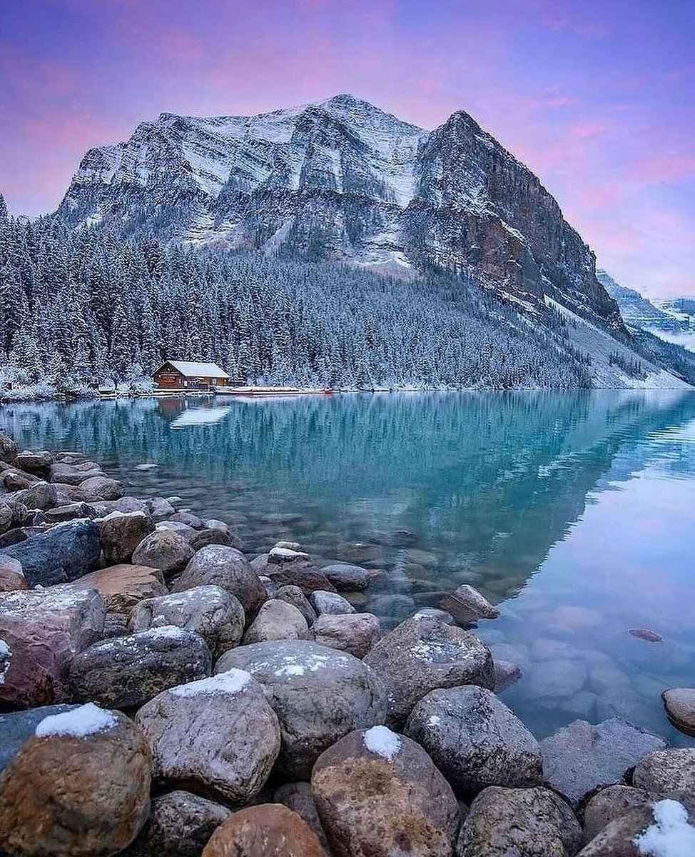 Nirvana Nature tweet media