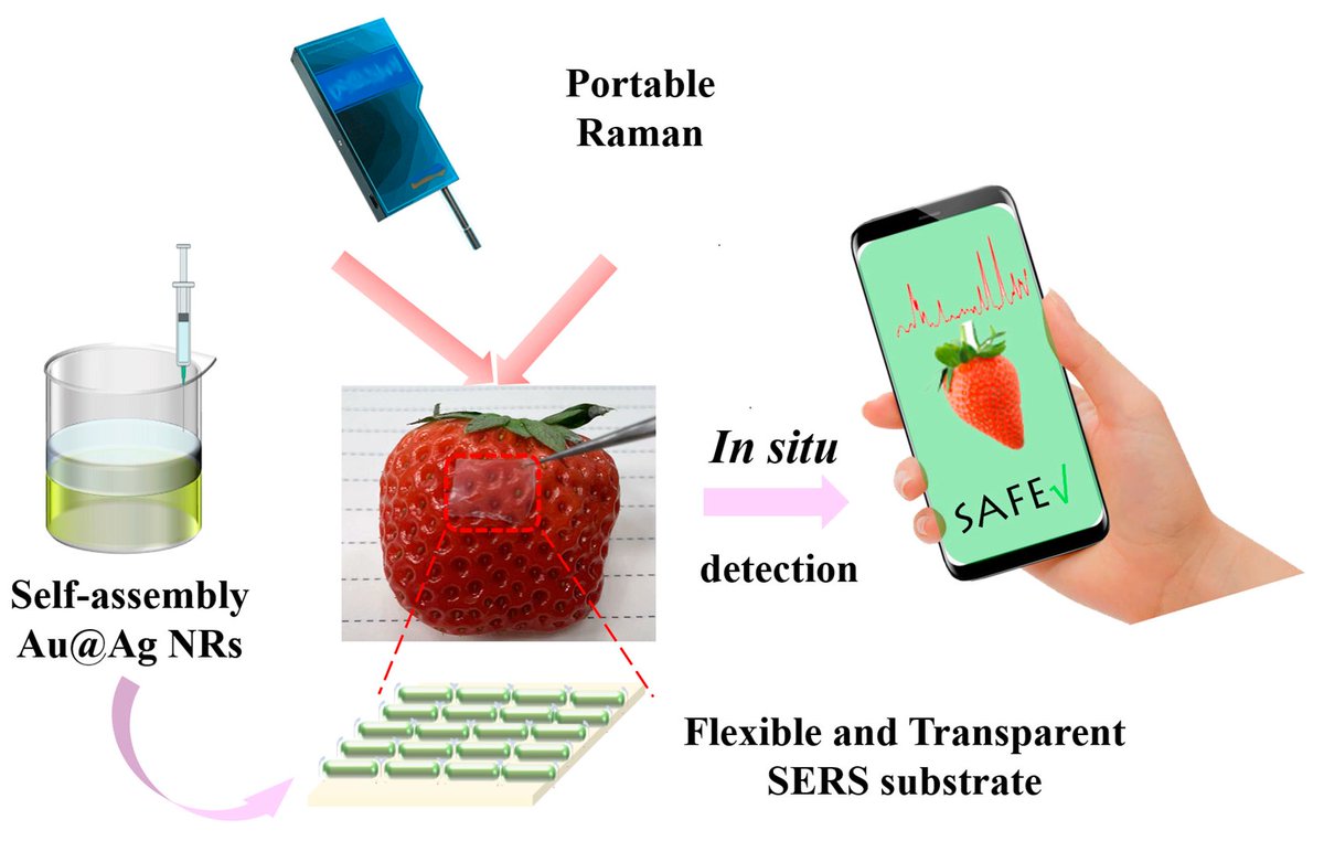 chemosens_MDPI's tweet image. #Article
Flexible and Transparent SERS Substrates Composed of Au@Ag Nanorod Arrays for In Situ Detection of Pesticide Residues on Fruit and Vegetables by Chao Liu, et al.
doi.org/10.3390/chemos…

@MDPIOpenAccess @USTCGlobal @UCAS1978
#SERS #pesticidedetection