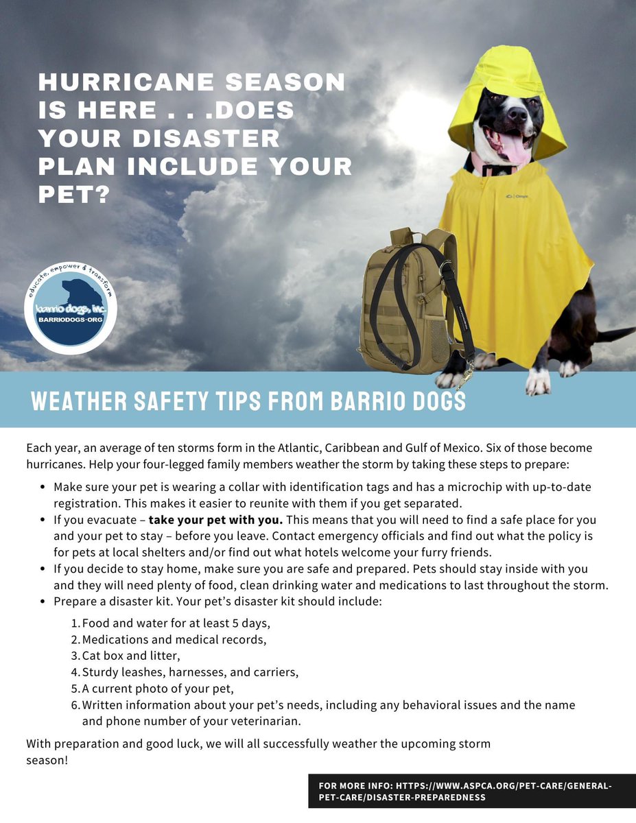 ⁉️ Hurricane Season is here...does your disaster plan include your pet? 

#BarrioDogs 
#Beryl #BerylHurricane #houwx #PetSafety
