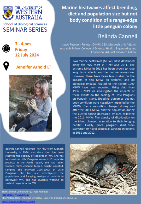 SEMINAR:
Marine heatwaves affect breeding, diet and population size but not body condition of a range-edge little penguin colony by Belinda Cannell
Friday 12 July @ 3pm, Jennifer Arnold Lecture Theatre, Zoology Building, UWA