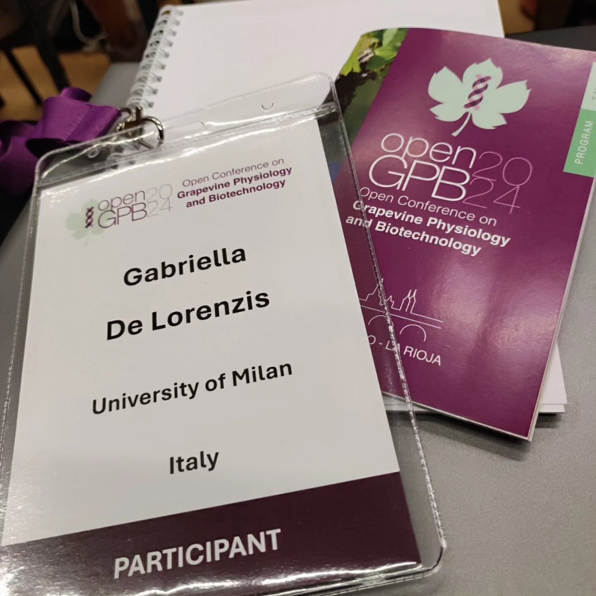 Let's start! <a href="/OpenGPB2024/">Open-GPB2024 Conference</a> <a href="/Ricciardi_V94/">Valentina Ricciardi</a> <a href="/Elisabetta_Serg/">Elisabetta Sergi</a>