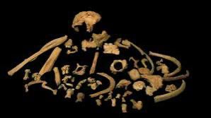 FUNDACION ATAPUERCA (@fatapuerca) on Twitter photo El 8 de julio de 1994 se encontraron los primeros restos de #HomoAntecessor hoy se cumplen 30 años y este año ya hemos llegado a #TD6 nivel donde se encontró.
Muchas felicidades #Equipo
<a href="/iphes/">IPHES-CERCA</a> <a href="/museoevolucion/">MuseoEvoluciónHumana</a> El 8 de julio de 1994 se encontraron los primeros restos de #HomoAntecessor hoy se cumplen 30 años y este año ya hemos llegado a #TD6 nivel donde se encontró.
Muchas felicidades #Equipo
<a href="/iphes/">IPHES-CERCA</a> <a href="/museoevolucion/">MuseoEvoluciónHumana</a>
