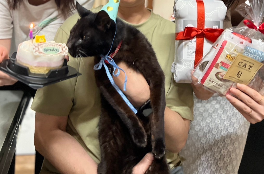 P59taka's tweet photo. 23歳になりました( ΦωΦ )
ねこ用ケーキ美味い🎂 https://t.co/n6IR45bbQg