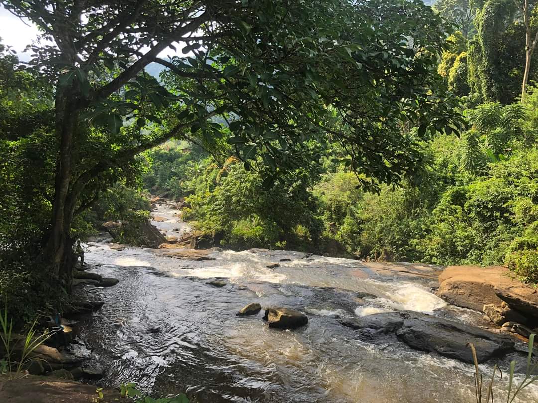 Queen's School Trips tweet media