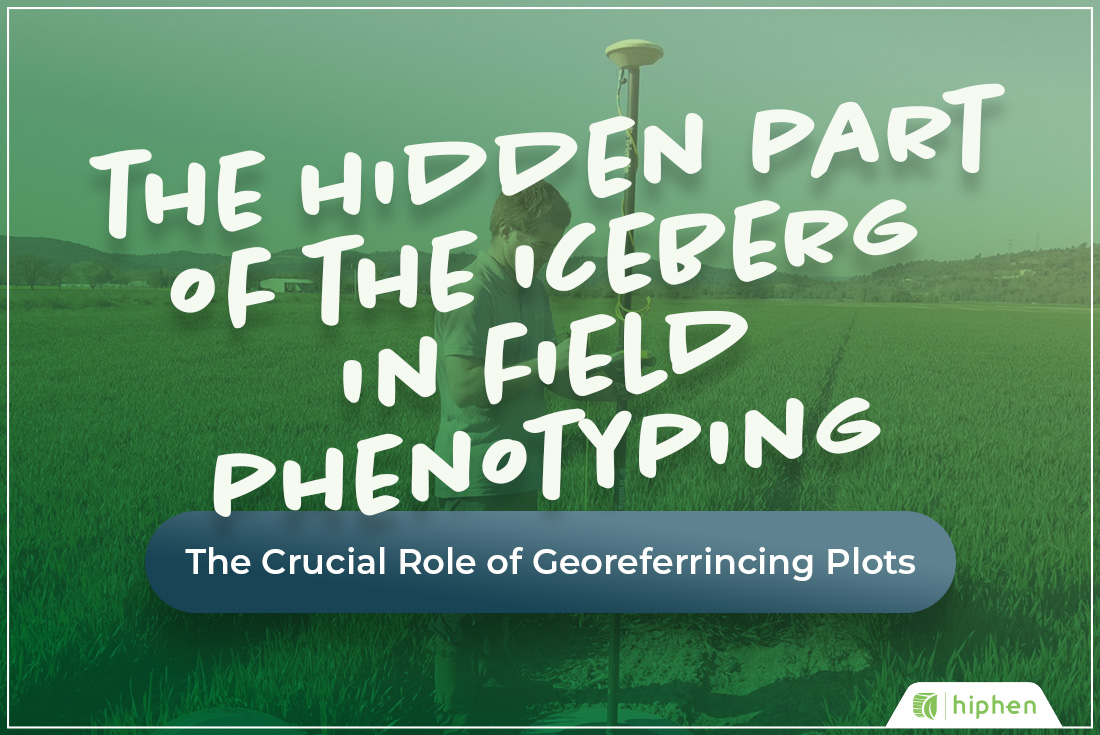 🌱 [#𝐏𝐡𝐞𝐧𝐨𝐭𝐲𝐩𝐢𝐧𝐠𝐈𝐧𝐬𝐢𝐠𝐡𝐭𝐬] 🌱
𝐓𝐇𝐄 𝐇𝐈𝐃𝐃𝐄𝐍 𝐏𝐀𝐑𝐓 𝐎𝐅 𝐓𝐇𝐄 𝐈𝐂𝐄𝐁𝐄𝐑𝐆 𝐈𝐍 𝐅𝐈𝐄𝐋𝐃 𝐏𝐇𝐄𝐍𝐎𝐓𝐘𝐏𝐈𝐍𝐆: 𝐆𝐄𝐎𝐑𝐄𝐅𝐄𝐑𝐄𝐍𝐂𝐈𝐍𝐆 𝐏𝐋𝐎𝐓𝐒

ℹ️ Find out more about georeferencing : wp.me/pd7o65-mWF

#plant #phenotyping #agtech