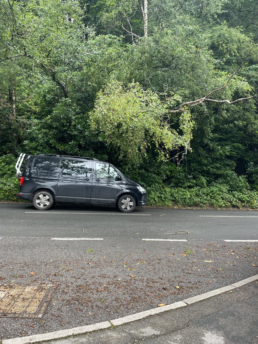 RobPrice7's tweet image. ⁦@HighwaysSEAST⁩ ⁦@WaverleyBC⁩ Tree over the road - Woolmer Hill Rd Haslemere GU27 1LT (junction of Lower Hanger). Buses &amp;amp; Lorrys going to find it difficult to pass 🌳