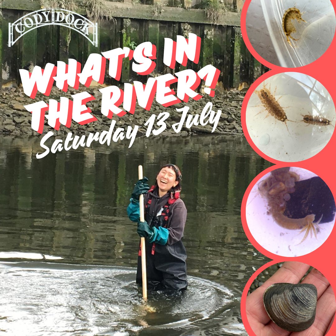 Cody Dock (@codydock) on Twitter photo Time for another aquatic invertebrate sampling & ID day 🦐 Saturday 13 July 10:00 to 17:00
Book: book.plinth.org.uk/e/yB5aI5V87IxS…
Free to attend. No experience necessary.
<a href="/Thames21/">Thames21</a> <a href="/freshwaterbio/">Freshwater Biological Association (FBA)</a> <a href="/Riverflies/">Riverfly Partnership</a> <a href="/EnvAgency/">Environment Agency</a>
#UrbanEcology #Riverfly #AquaticInvertebrates #LondonWildlife Time for another aquatic invertebrate sampling & ID day 🦐 Saturday 13 July 10:00 to 17:00
Book: book.plinth.org.uk/e/yB5aI5V87IxS…
Free to attend. No experience necessary.
<a href="/Thames21/">Thames21</a> <a href="/freshwaterbio/">Freshwater Biological Association (FBA)</a> <a href="/Riverflies/">Riverfly Partnership</a> <a href="/EnvAgency/">Environment Agency</a>
#UrbanEcology #Riverfly #AquaticInvertebrates #LondonWildlife