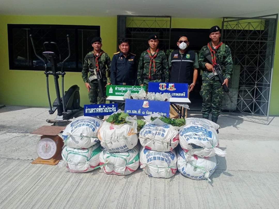 army_greenbrain's tweet photo. ทหารตั้งจุดตรวจสกัดกั้น การลักลอบนำสิ่งของผิดกฏหมายเข้ามาตามแนวชายแดน โดยได้จับกุมผู้กระทำผิดพร้อมน้ำมันเลี่ยงภาษี จำนวน 4,850 ลิตร และพืชกระท่อม จำนวน 200 กิโลกรัม จึงนำส่งเจ้าหน้าที่ตำรวจเพื่อดำเนินการตามกฎหมายต่อไป

หน่วย : หน่วยเฉพาะกิจกรมทหารราบที่ 5
#ฝนตก #ข่าวช่อง3 https://t.co/ZXWxHAt1Dj