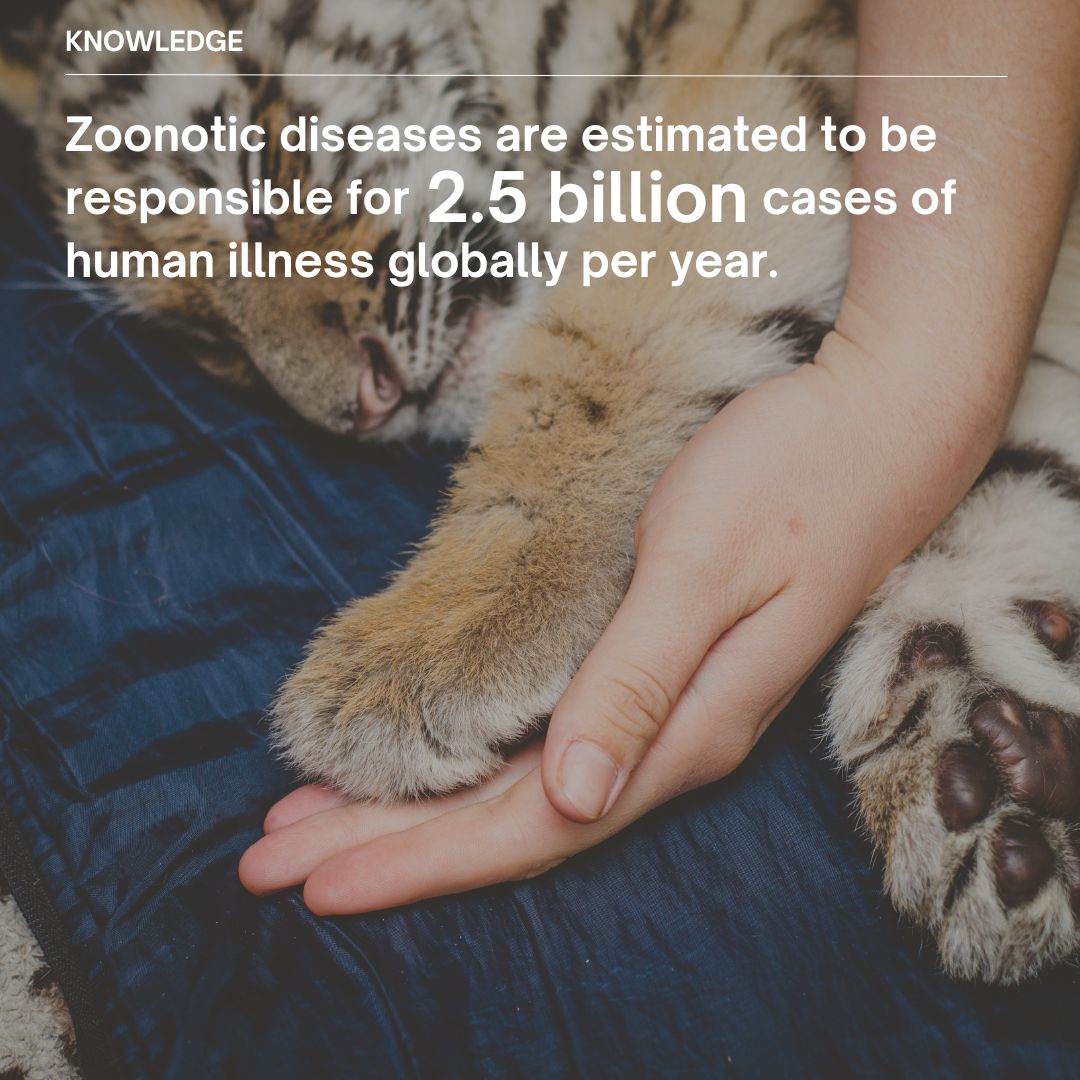 World Organisation for Animal Health tweet media