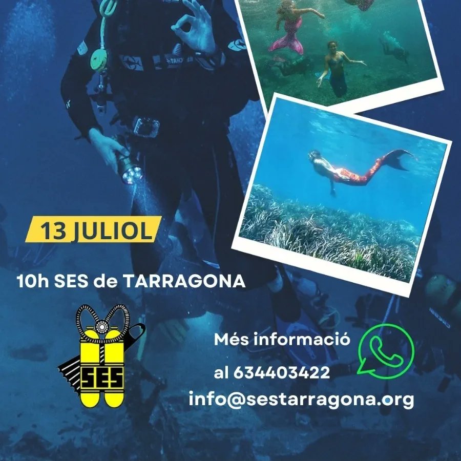 Sirenes Mediterranean Academy compleix 10 anys!
No et perdis l'oportunitat de caçar amb la teva càmera fotogràfica una Sirena o un Tritó de la mar Mediterrània. 

13 de juliol a les 10h al Parc Subaquàtic.

Inscriu-te: forms.gle/x2SSwDoVpVCcB5…