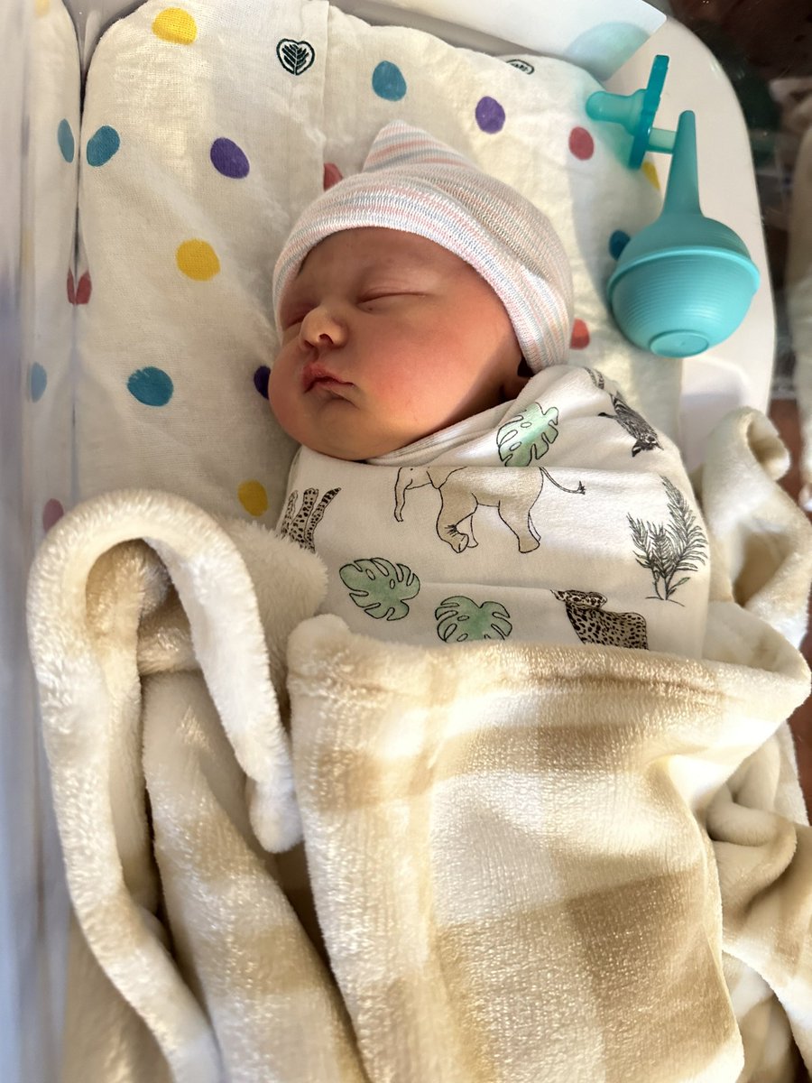 Patrick McCarthy tweet media