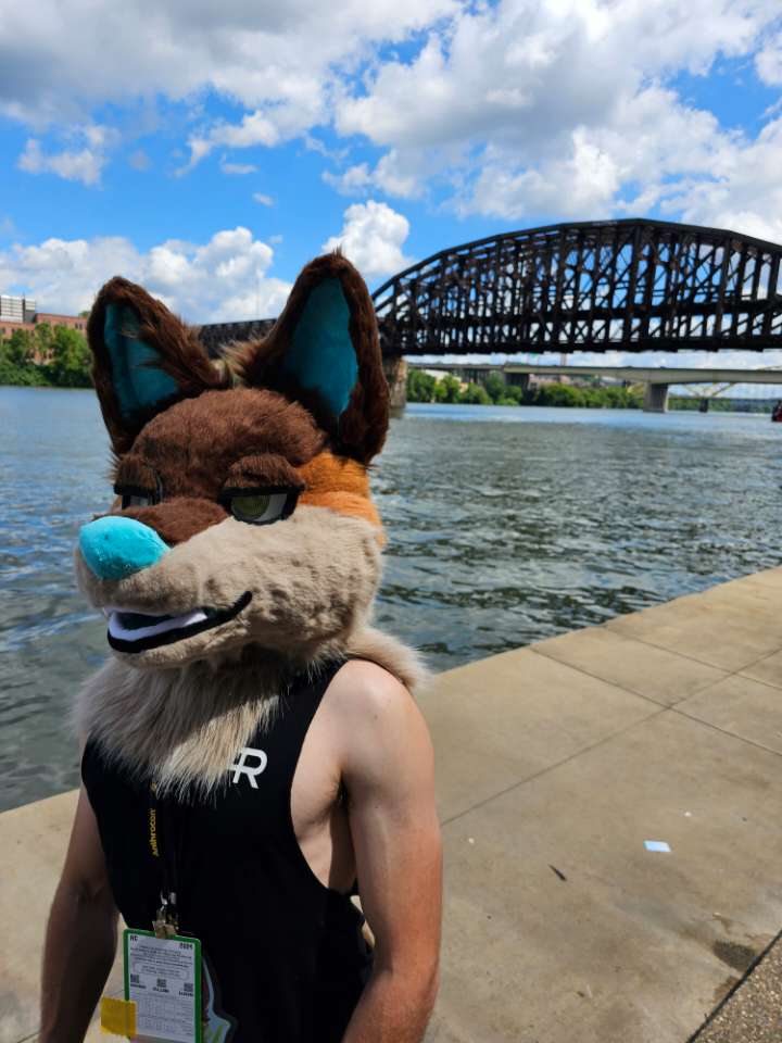 ZoomieFox's tweet photo. Flexing for day 3 of Anthrocon 

#fur #furryfandom #fursona #furries #furryfriends #anthro #foxy #tail #fursuit #fuzzy #furryfriend #furryoc #furry #fursuit #furrycommunity #owo #furrypride #furrys  #fursuiter https://t.co/WN6tsvTNi2