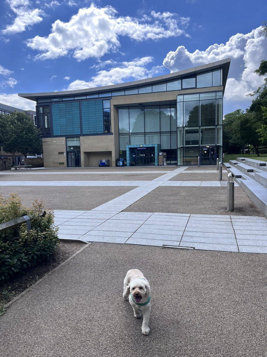 Fudge and I did a site inspection to make sure everything is fine and dandy to welcome everyone on Wednesday!
Not registered yet? There is still time! boneresearchsociety.org/meeting/brs202…
