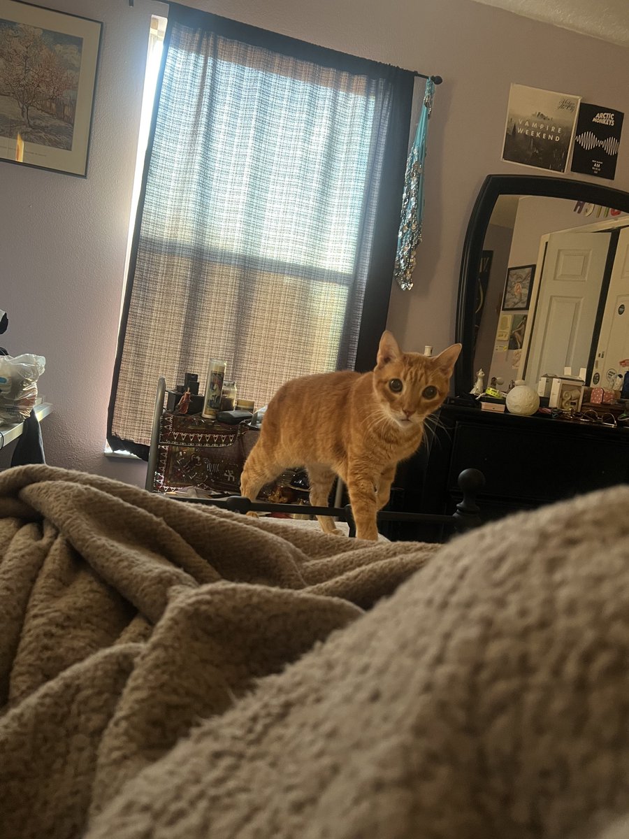 RitaForFlorida's tweet photo. Rise and Shine! ✨
Happy Monday from Thor!
*Thor approves this message*
#ritaforflorida
#reprita
#reelectrita
#districtthortythor https://t.co/w379XDwtPn