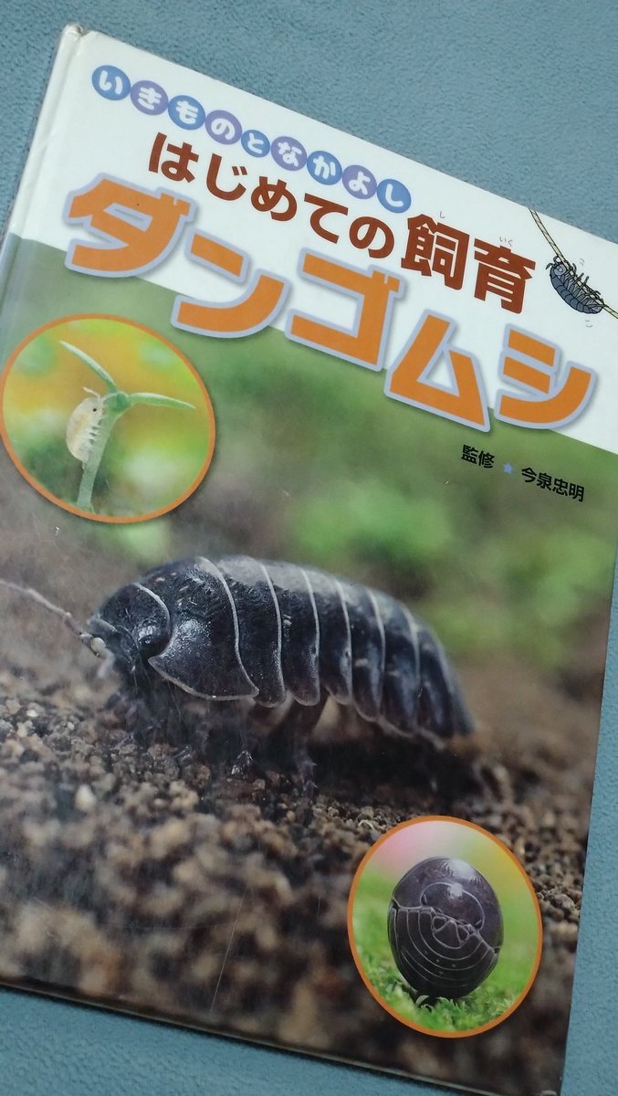 ダンゴムシ (いきものとなかよしはじめての飼育) ダンゴムシ (いきものとなかよし はじめての飼育) ：今泉忠明 - 金の星社