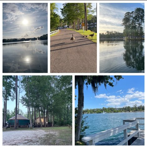 Went to my favorite campgrounds again. This is always such a reset for me. Much needed!