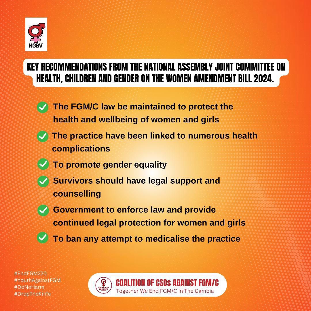 Key Recommendations from the National Assembly Joint Committee on Health, Children and Gender on the Women Amendment Bill 2024.

#EndFGM220