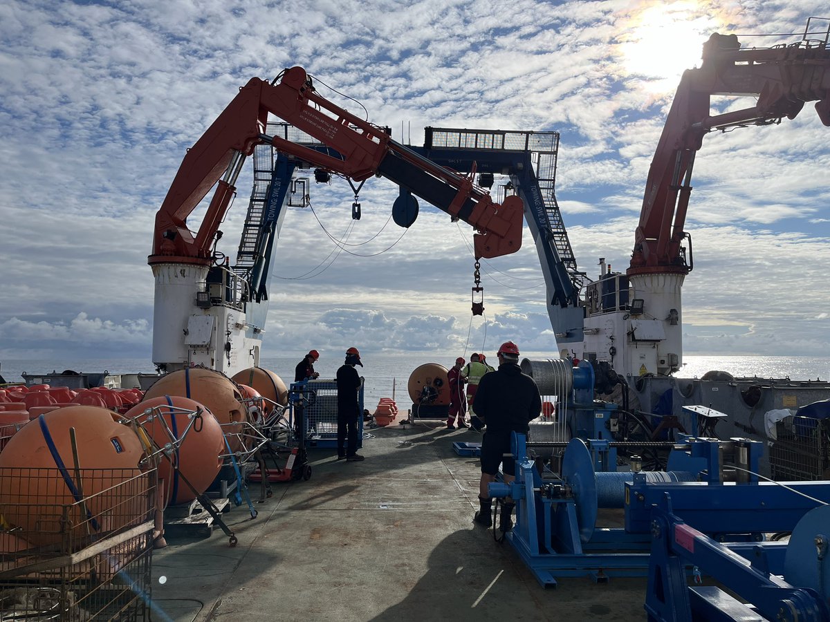 Kristin Burmeister tweet media