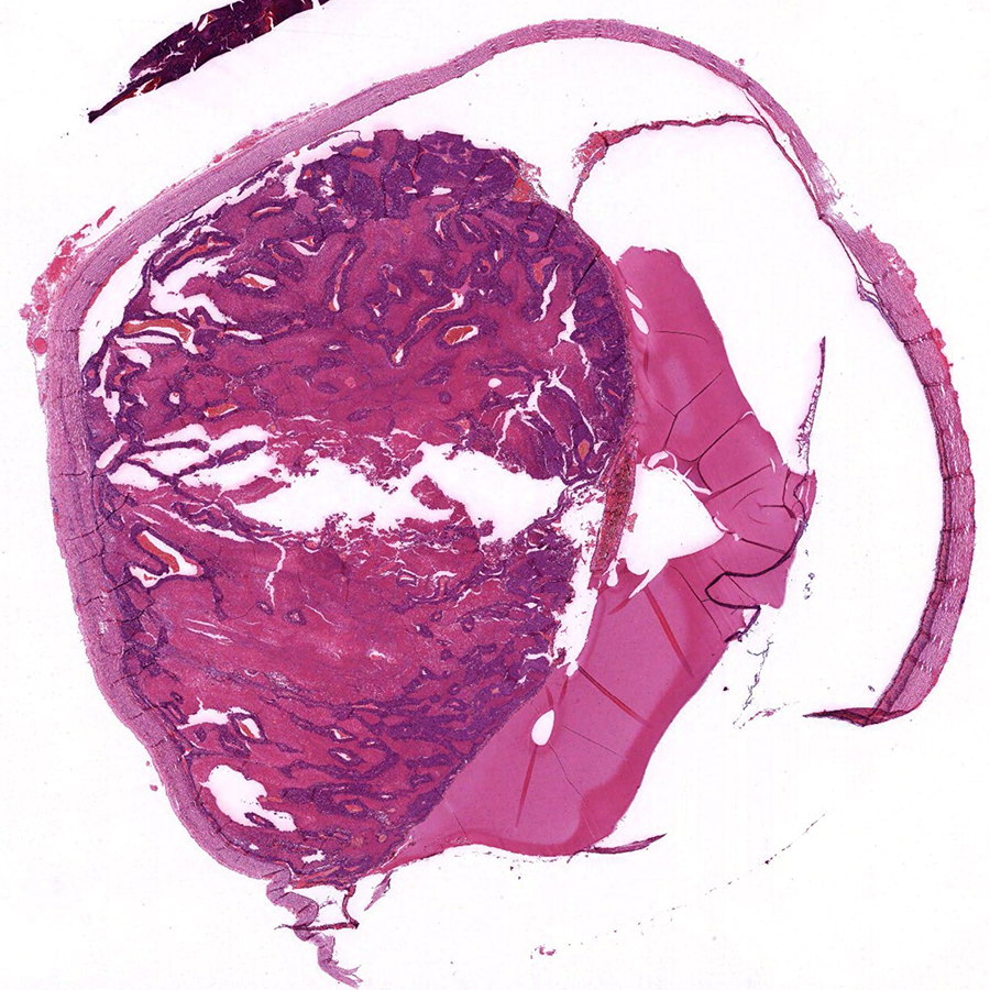 Craig Horbinski tweet media