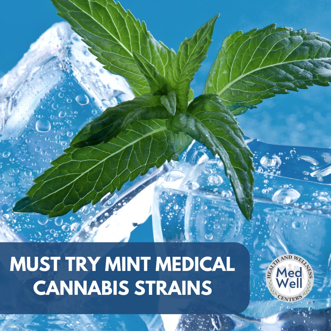 Discover refreshing relief with our top must-try mint medical cannabis strains! 🌿💨 Dive into our latest blog to explore these cooling options for your wellness journey. Click to learn more 
➡️ medwellhealth.net/must-try-mint-…