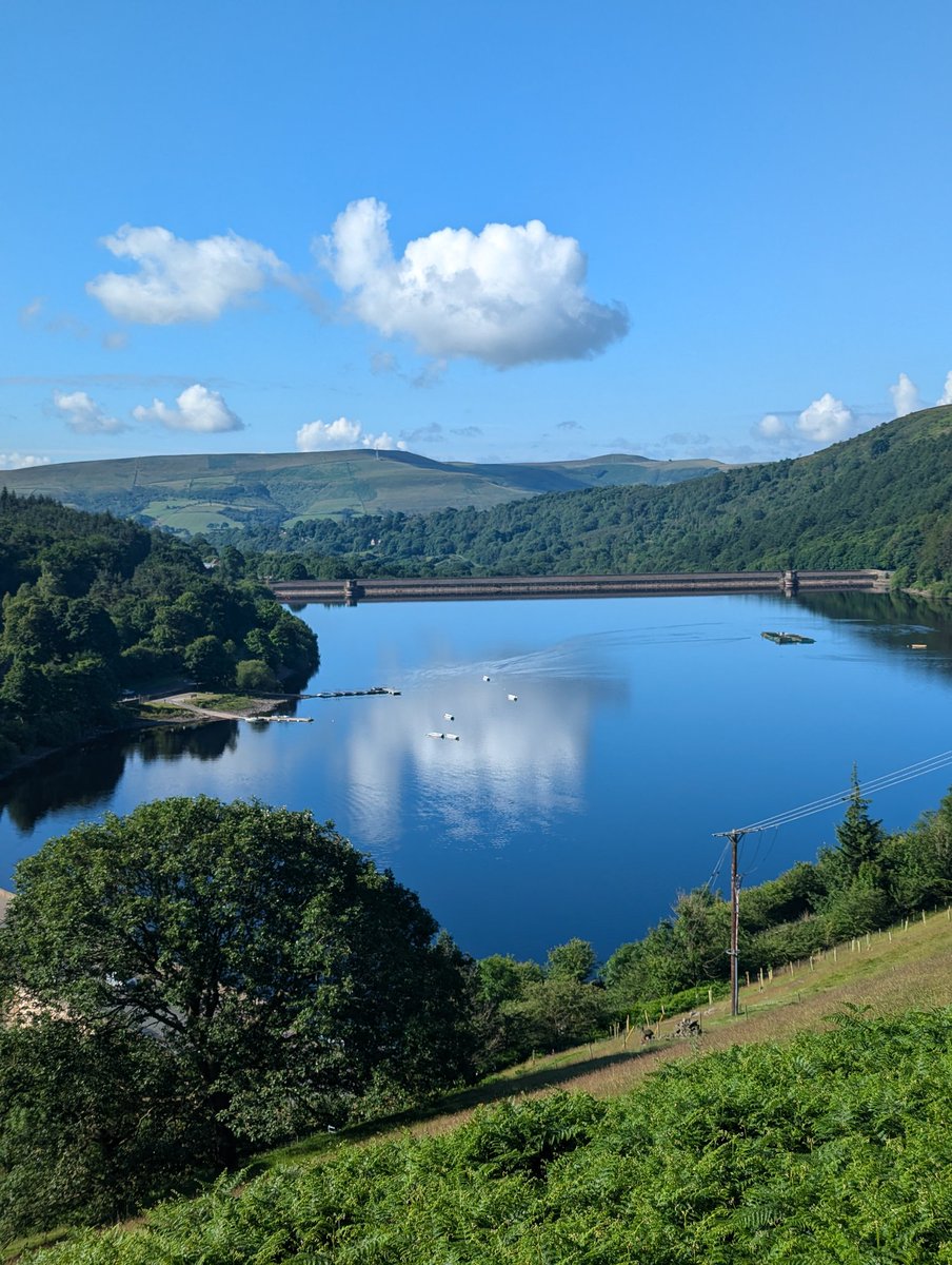 baslovia's tweet image. Bamford Moor circular walk today starting off in perfect blue sky conditions. I like the cloud shaped duck floating both above and in the water, in the first picture.