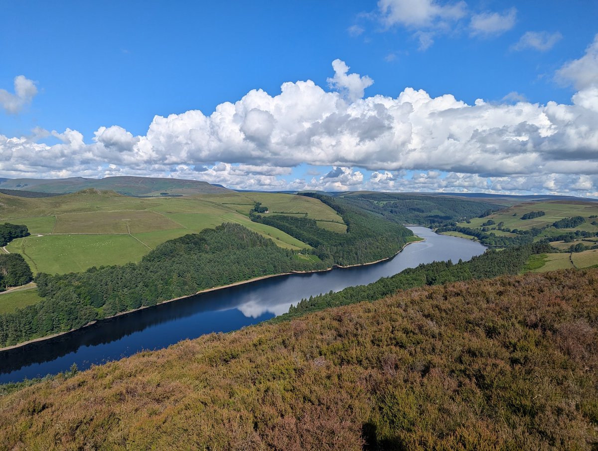 baslovia's tweet image. Bamford Moor circular walk today starting off in perfect blue sky conditions. I like the cloud shaped duck floating both above and in the water, in the first picture.