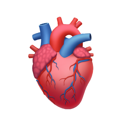 Mills Record Company tweet media