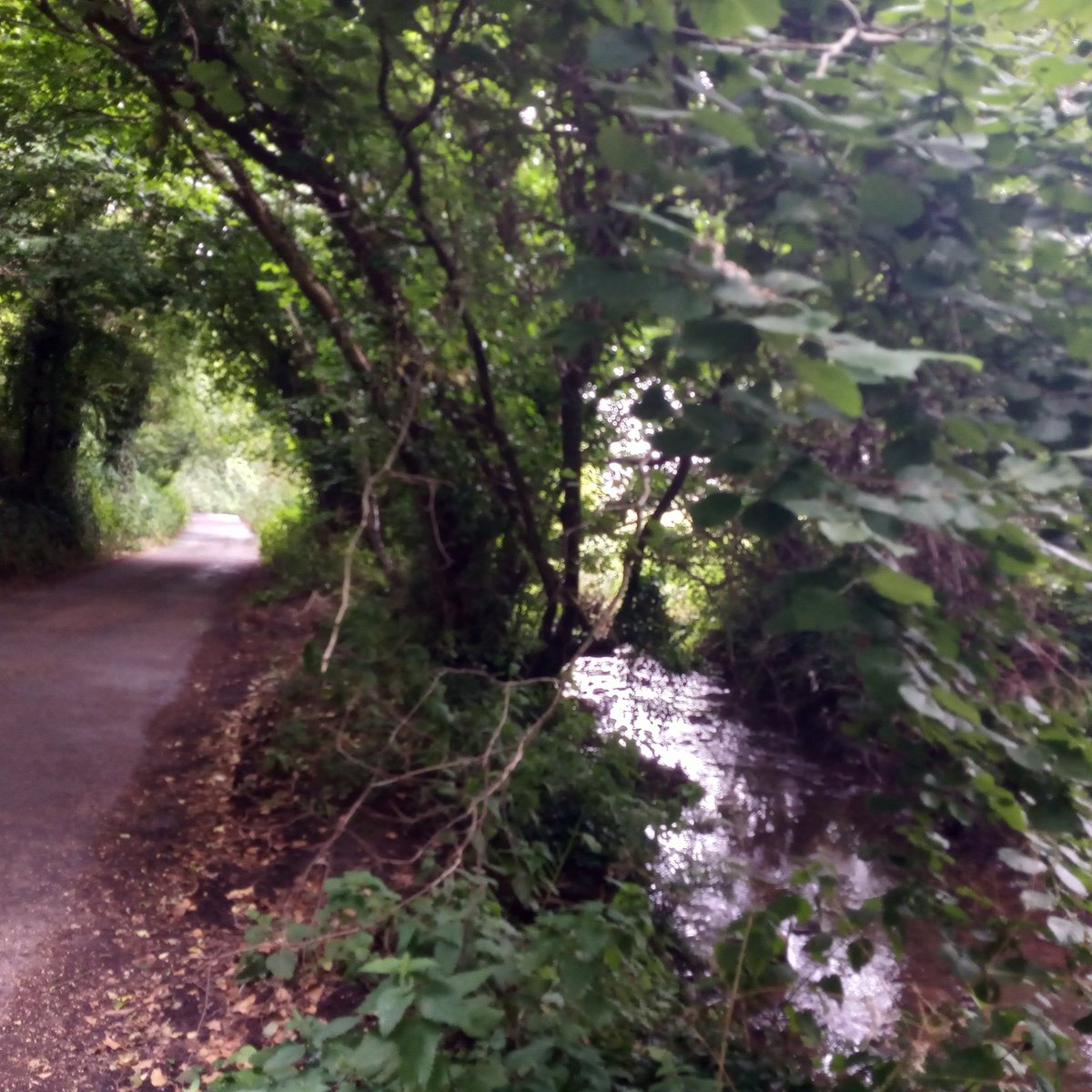 A grey rainy day but enjoying the #slowways nonetheless, out on exetop4 and back on exetop2 between Exeter and Topsham.