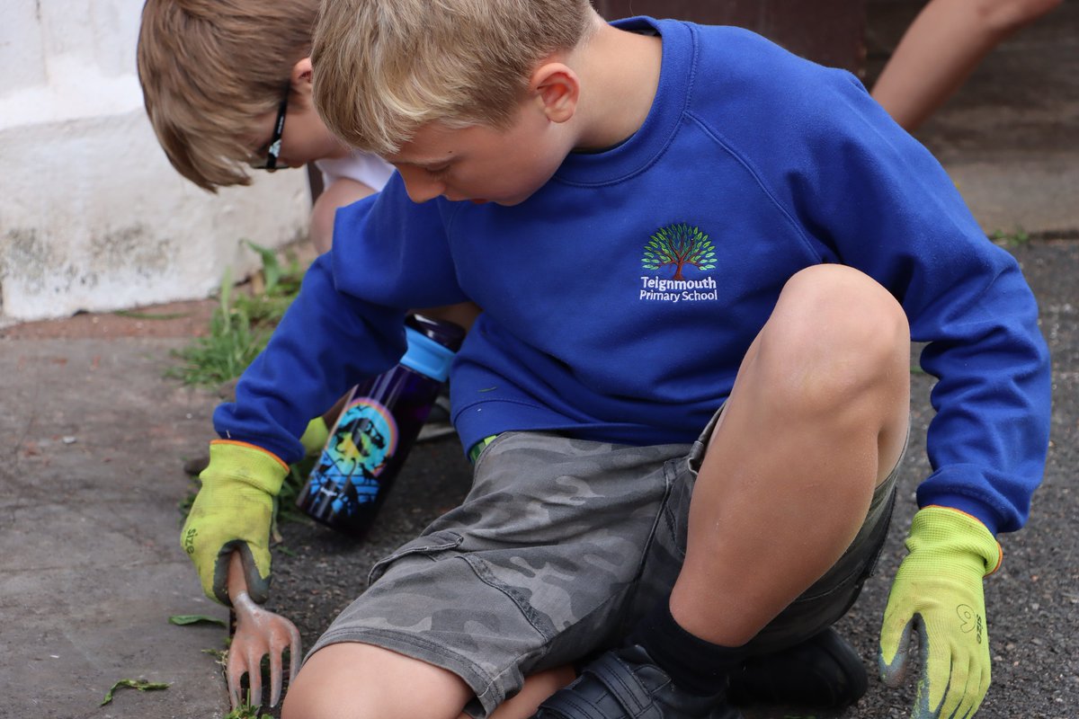 Teignmouth Primary tweet media