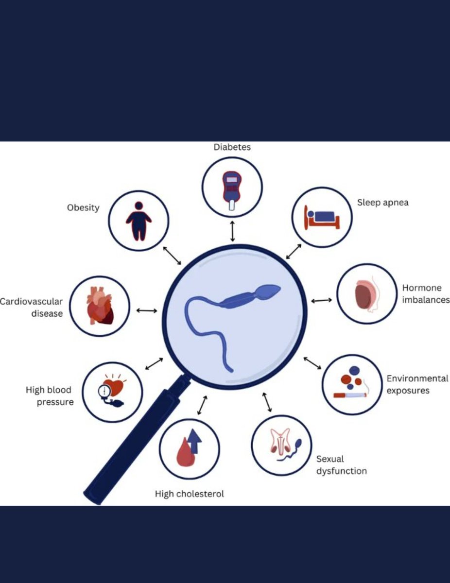 Akhil Muthigi, MD (@akhilmuthigi) on Twitter photo Check out our paradigm-shifting perspective:
Can semen analysis be utilized as a screening tool for overall health in young men?
rdcu.be/dMKqn
<a href="/yoursexmedjour/">IJIR: Your Sexual Medicine Journal</a>
<a href="/HMethodistUro/">Houston Methodist Urology and Residency Program</a> <a href="/bcm_urology/">BCM Department of Urology</a>
<a href="/DrMohitKhera/">Mohit Khera</a> <a href="/GalSaffatiMD/">Gal Saffati</a> Check out our paradigm-shifting perspective:
Can semen analysis be utilized as a screening tool for overall health in young men?
rdcu.be/dMKqn
<a href="/yoursexmedjour/">IJIR: Your Sexual Medicine Journal</a>
<a href="/HMethodistUro/">Houston Methodist Urology and Residency Program</a> <a href="/bcm_urology/">BCM Department of Urology</a>
<a href="/DrMohitKhera/">Mohit Khera</a> <a href="/GalSaffatiMD/">Gal Saffati</a>