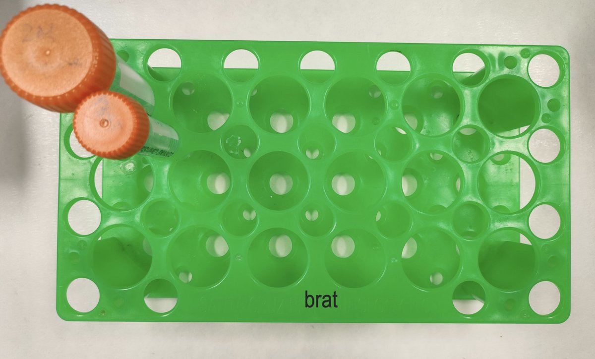 Ellen Tuck tweet media