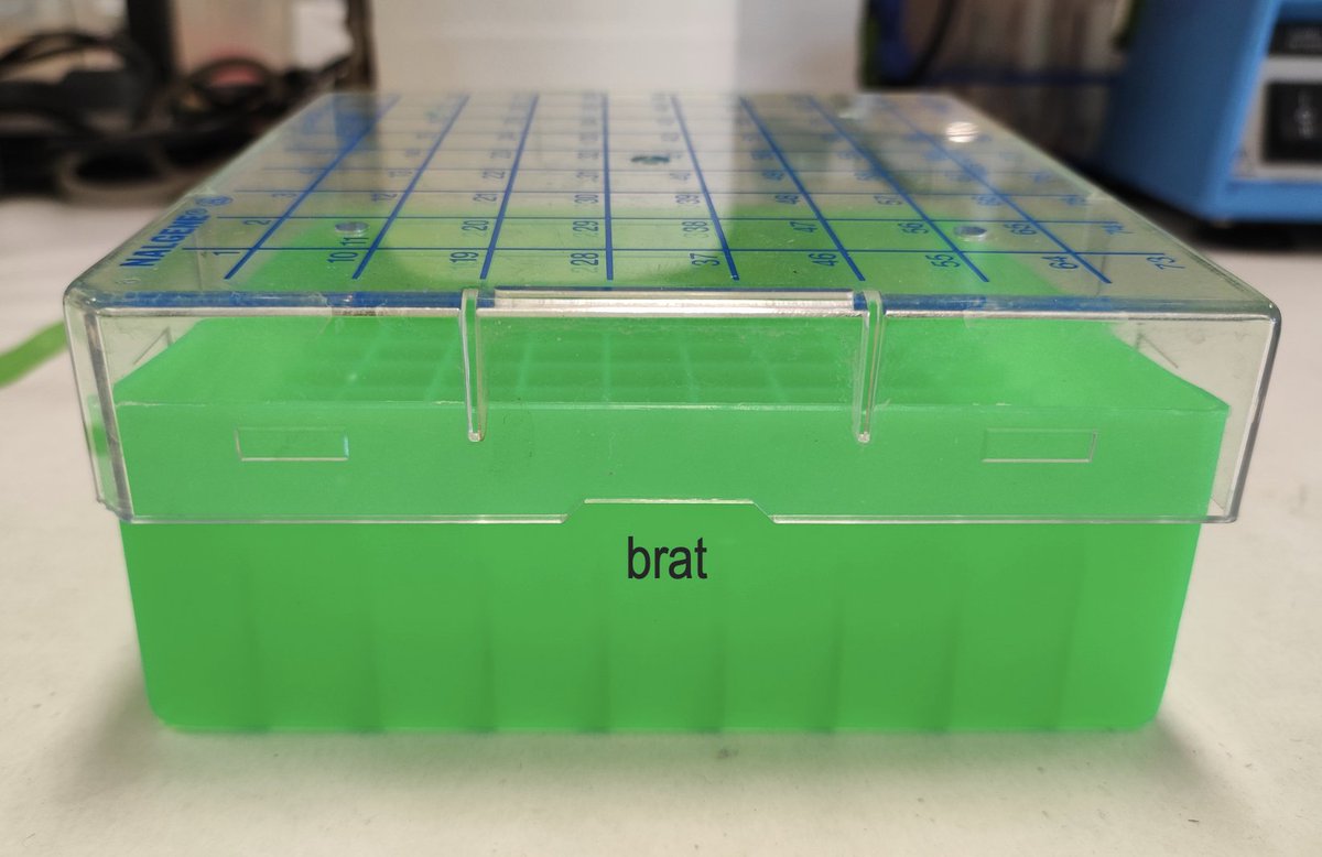 Ellen Tuck tweet media