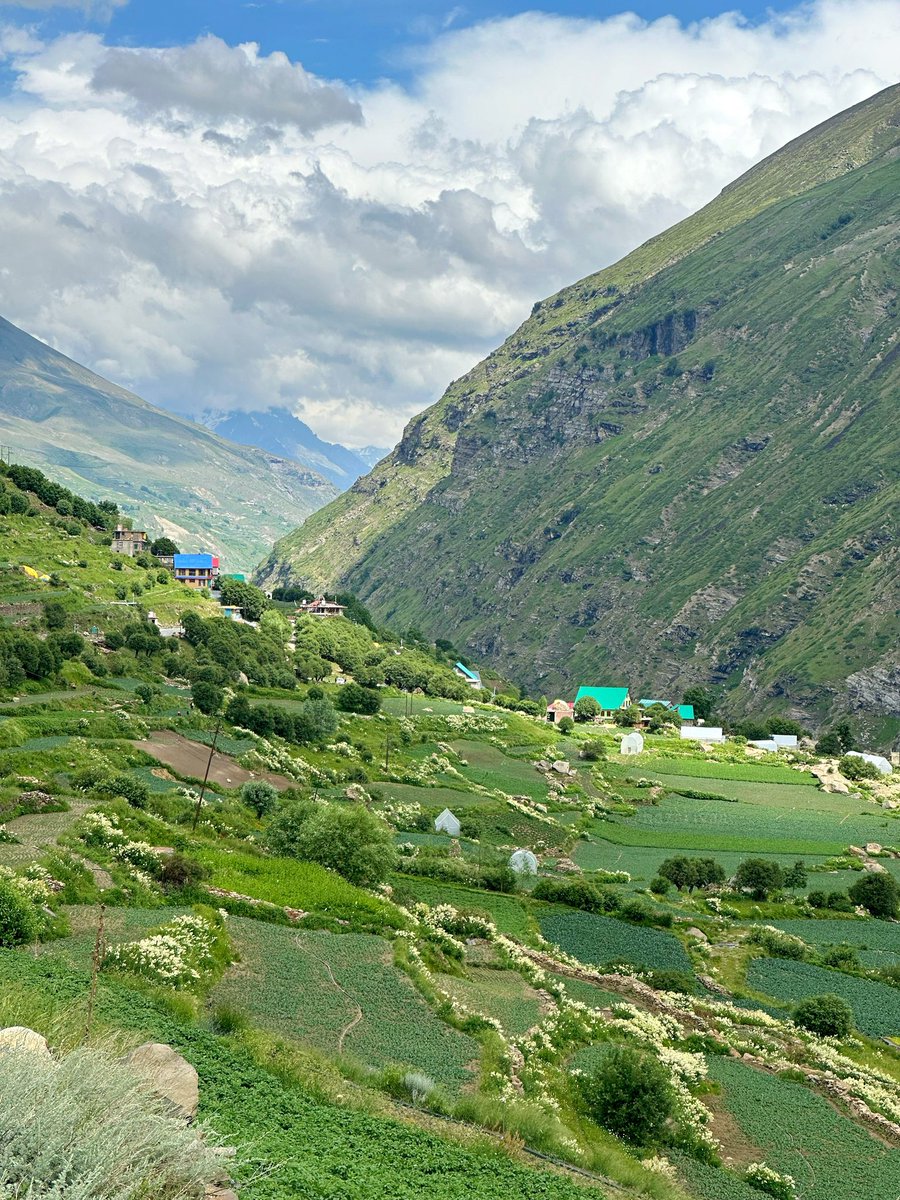 nazariyaa__'s tweet photo. On earth there is no heaven, but there are pieces of it ♥️
.
.
.
#HimachalPradesh #lahaul #mountains https://t.co/neJkLYaCx9
