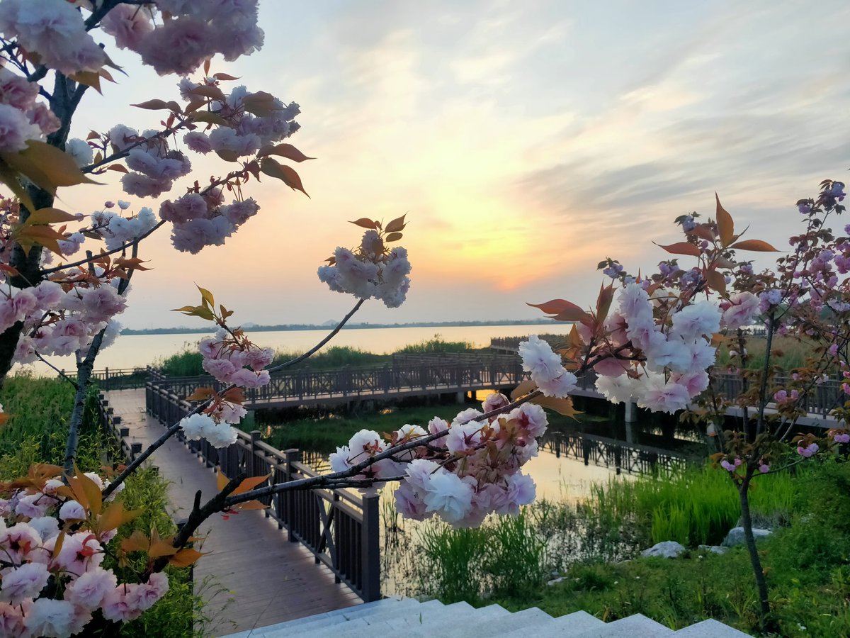 山水平台85136.vipzCg