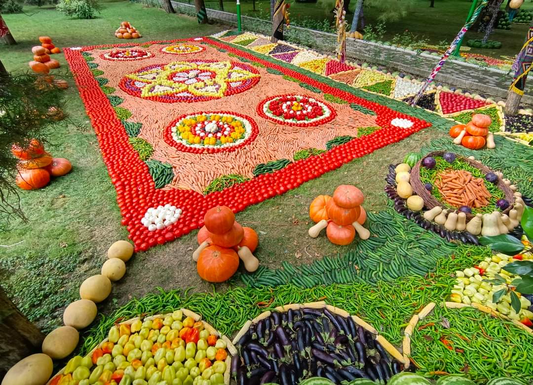 TOURISM0101's tweet photo. Fruits of Tajikistan 🇹🇯 2024
#fruits #Tajikistan https://t.co/A7uYYloufU
