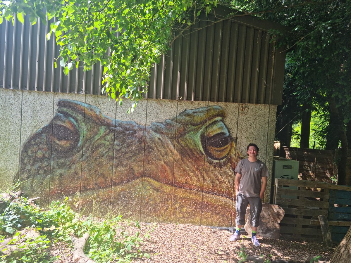 Froglife (@froglifers) on Twitter photo Our toad mural, originally commissioned for our now completed #LondonTOAD project, is still looking incredible!
Why not visit the mural yourself? You'll find it behind <a href="/inkspotbrewery/">theinkspotbrewery</a> in the #woodland garden!
<a href="/sccoopstreatham/">Streatham Common Co-operative</a> Our toad mural, originally commissioned for our now completed #LondonTOAD project, is still looking incredible!
Why not visit the mural yourself? You'll find it behind <a href="/inkspotbrewery/">theinkspotbrewery</a> in the #woodland garden!
<a href="/sccoopstreatham/">Streatham Common Co-operative</a>