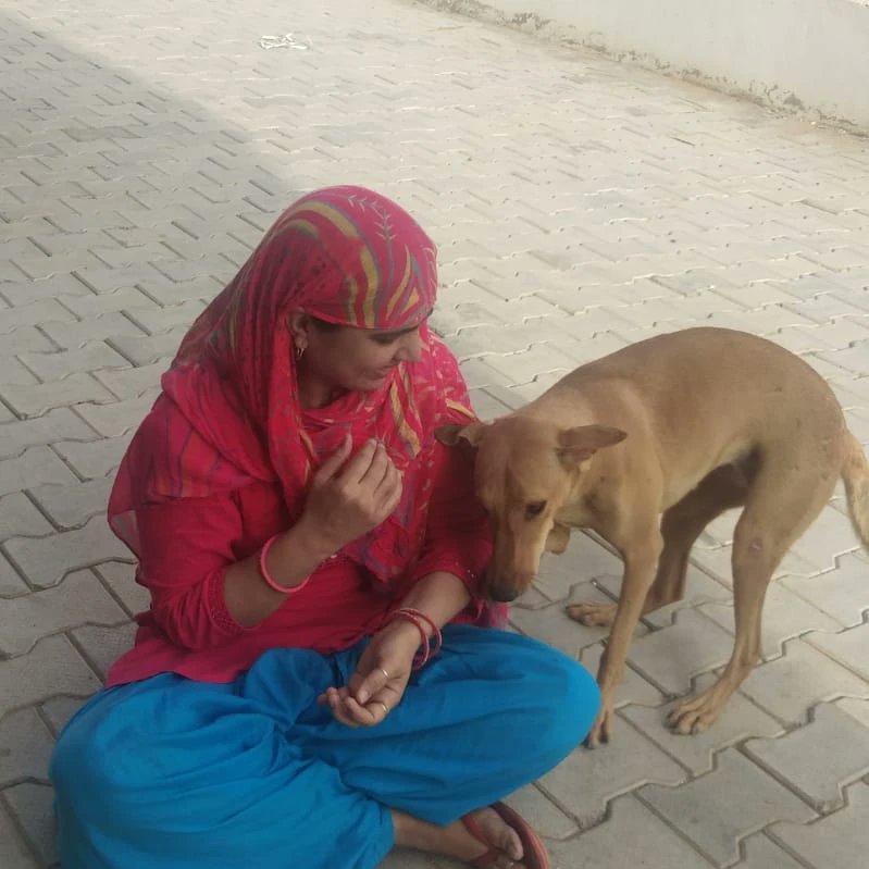 SumanPooniaJJN's tweet photo. *शिकायतों की भी इज्जत है,*
*हर किसी से नहीं की जाती!*
*🤗😊🫰...................✍️*
#jaishreeshyam #highlightseveryonefollowershighlight #bepositivethinkingalways @HighlightHER https://t.co/os1ofGG3Os