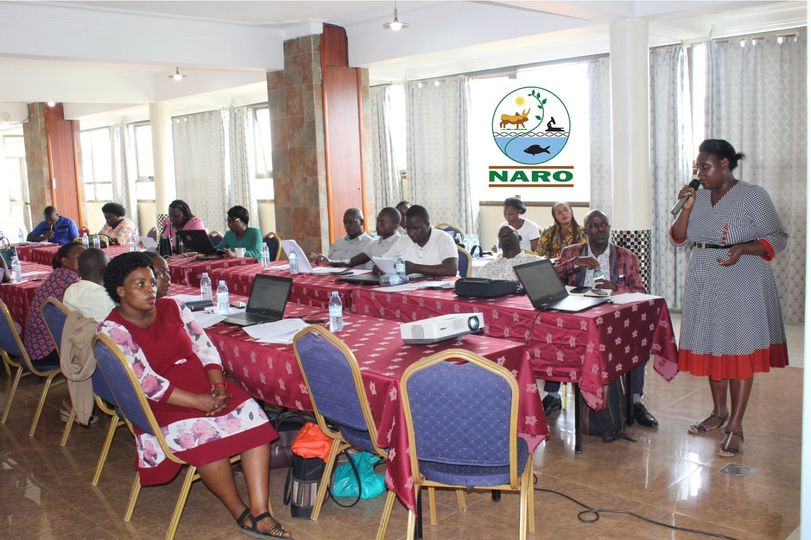 In collaboration with ACSA at a sensitization workshop in Nsambya, Eva Zaake the Genebank manager from the Uganda National Genebank trained over 35 farmers in seed conservation technologies. The farmers later availed 30 local seed samples for long term conservation at the